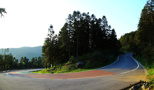 森林 景区 公路 红色