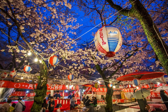 京都樱花树下的平野神社庙会