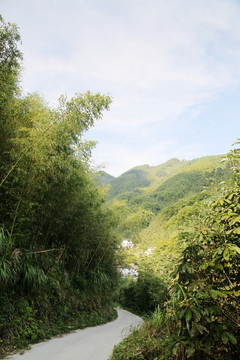 山间小路