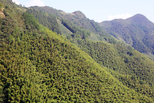 山峰 青山绿树植被