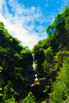 高山流水