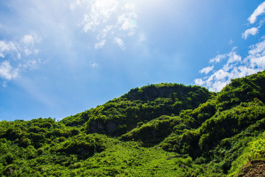 青山 山岭