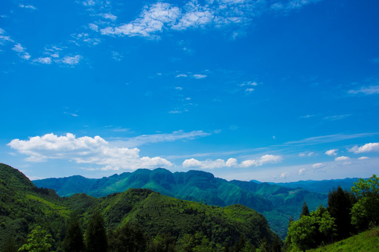 青山 大山