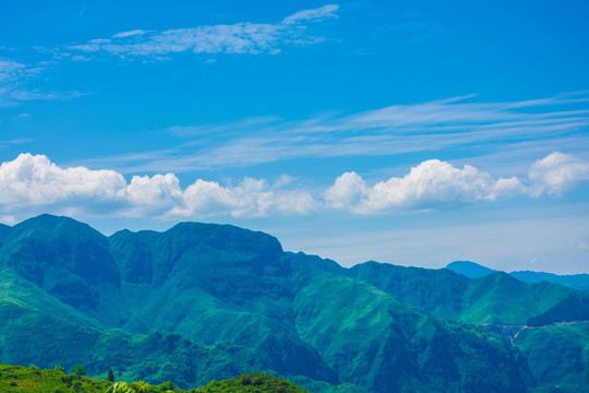 青山 大山