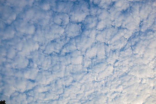 天空 背景 蓝天 傍晚 素材