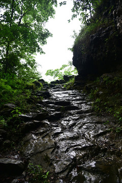 栈道