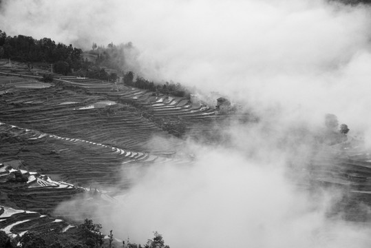 云雾梯田