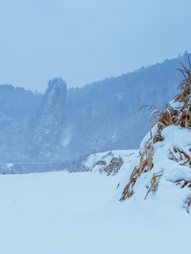 雪后田野