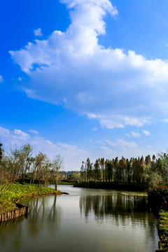 滇池湿地