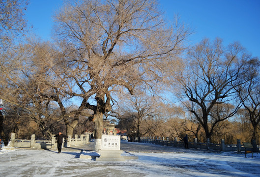 清东陵景区