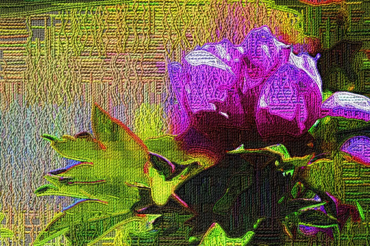花卉抽象畫