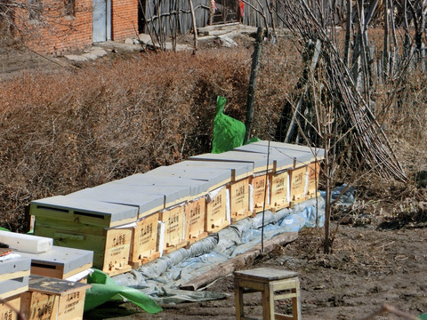 蜜蜂养殖 蜂箱
