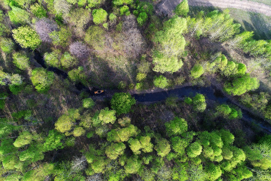 森林中小溪 航拍