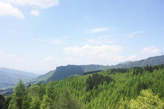 金佛山风景