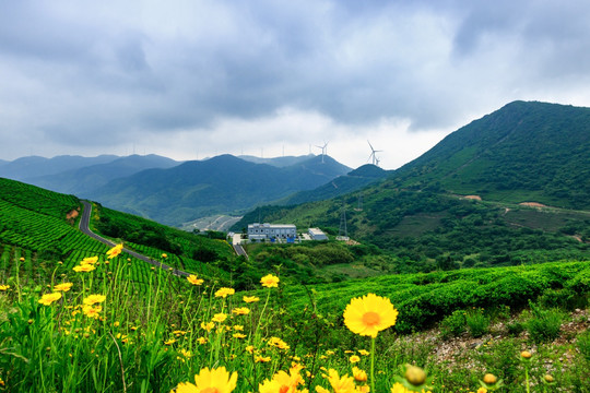 风电厂