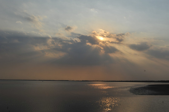 七里海湿地