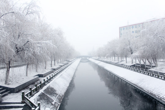 雪景