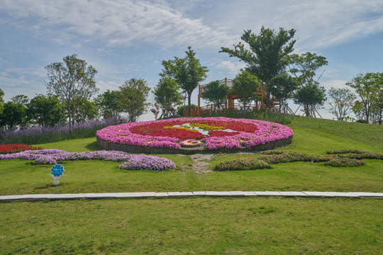 花卉花海 高清大图