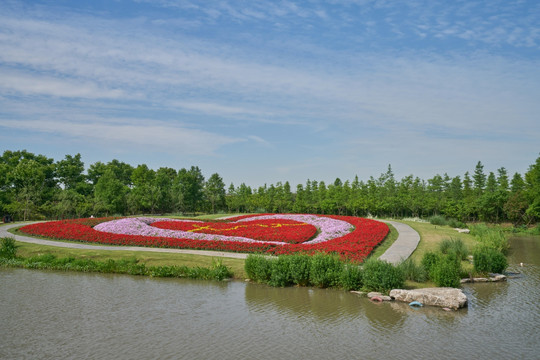 花卉花海 高清图