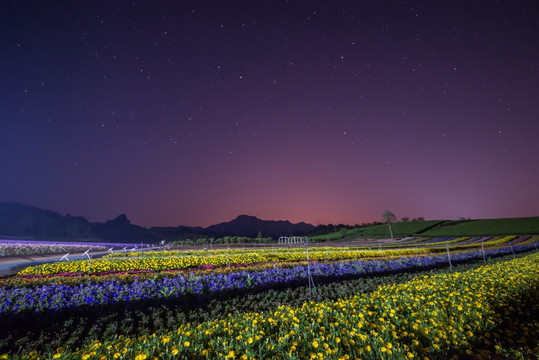 夜色中的花田小镇