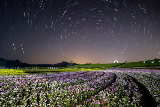 夜色中的花田小镇