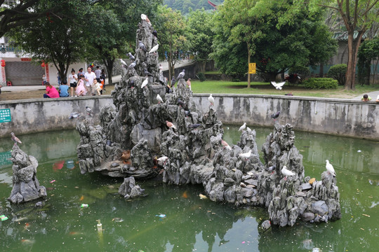 寺庙 建筑 佛教 假山