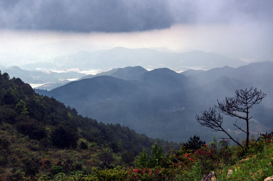 古田高岗远眺