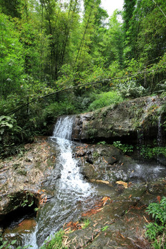 山间流水 山泉瀑布