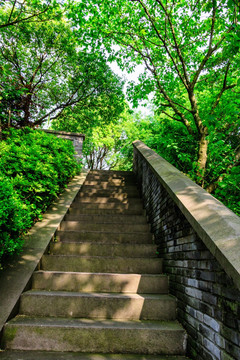 石板路 台阶 上山路