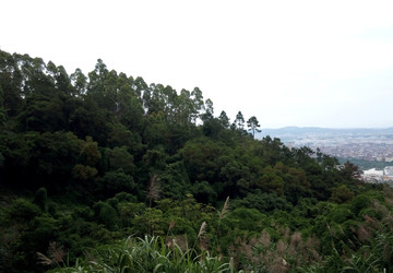 山顶远眺