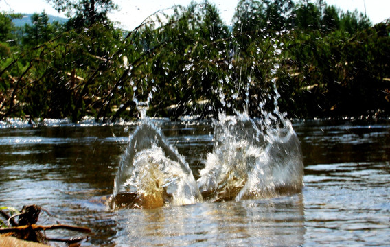 河水水花