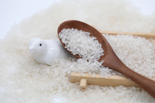 米 大米 有机大米 粮食