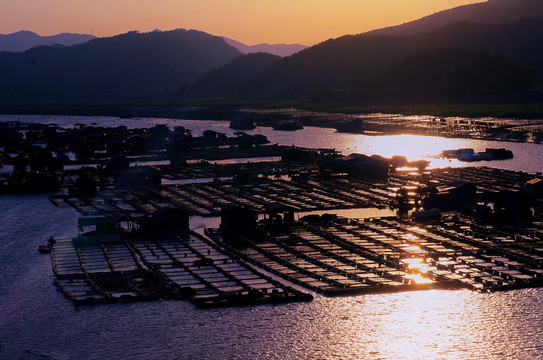 霞浦北岐滩涂