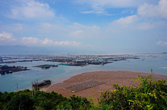 霞浦东安渔排