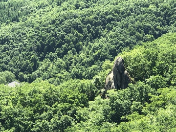 朱雀山森林公园