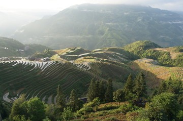 龙脊梯田