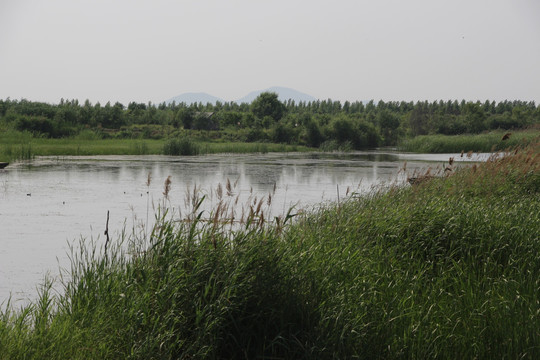 东平湖