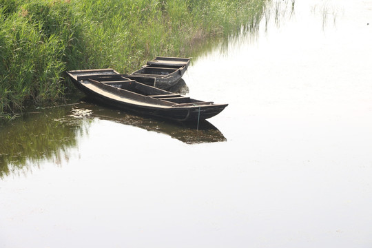 东平湖