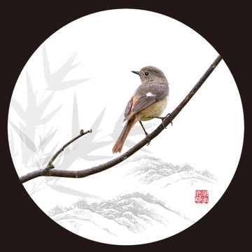 矢量寫意花鳥畫