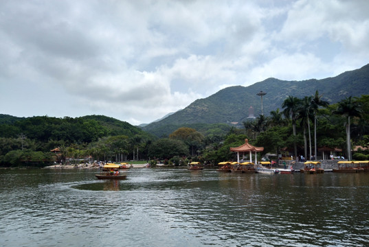 深圳仙湖植物园