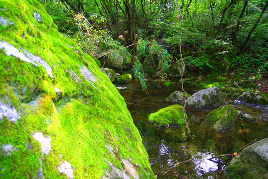 老君山风光