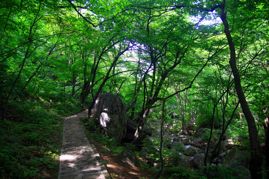 老君山风光