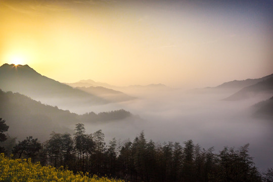 高山景观