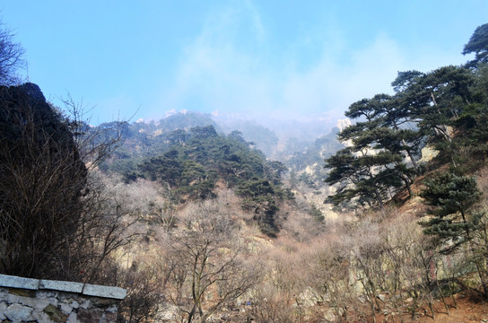 山东泰山