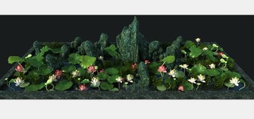 水池莲花假山景观3d模型