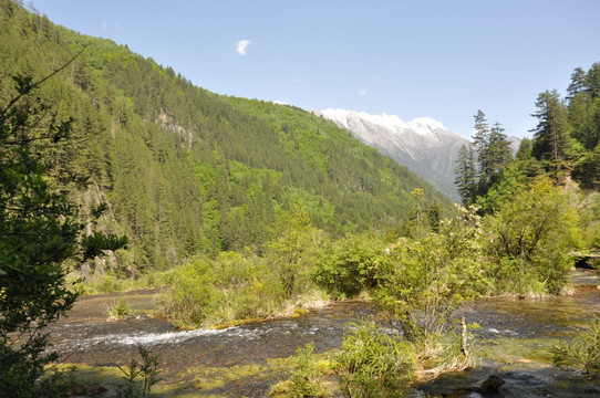 山间溪水