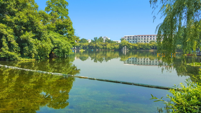 合肥工业大学 斛兵塘