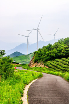 风电场公路