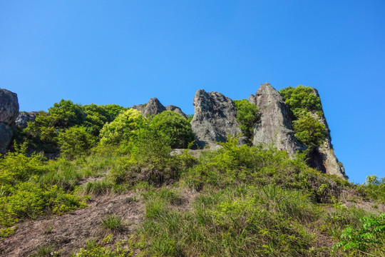 丽水芙蓉峡