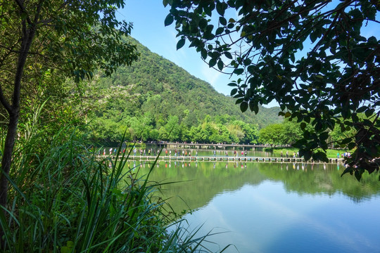 鼎湖峰